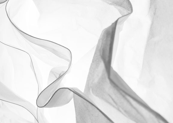 Bones, Muscles and Joints